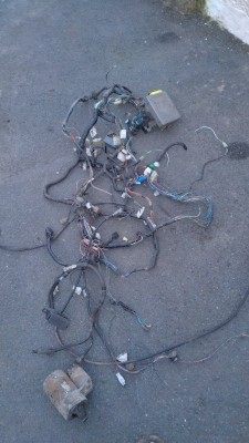 IMG-20250203-WA0021.jpeg