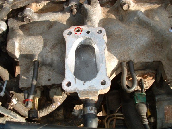 Suzuki Club UK - SCUK - DIY